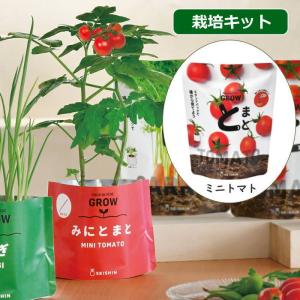 ベジパック ミニトマト 栽培セット キット 室内...の商品画像