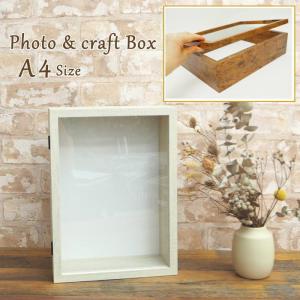 万丈（VANJOH） 送料無料 六角BOX L判フォトフレーム付き 全2種 立体