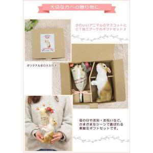 クロネコ ねこ 母の日 プレゼント ギフト ブ...の詳細画像5
