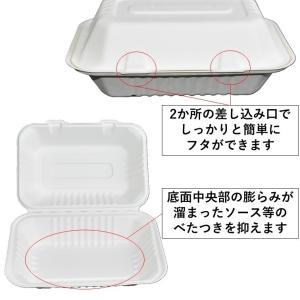 テイクアウト容器 フードパック バガスモールド...の詳細画像2