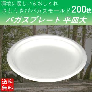 使い捨て皿 エコで丈夫なバガスプレート 平皿大 3仕切り 200枚