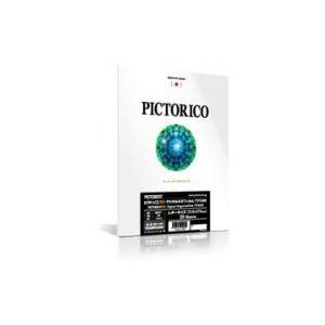 PICTORICO デジタルネガフィルムA3 プラス　20シート2点 インクジェット用 ピクトリコプロ デジタルネガフィルム 145um A3ノビ