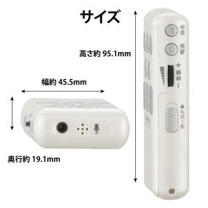 ICレコーダー かんたんICレコーダー Aud...の詳細画像4