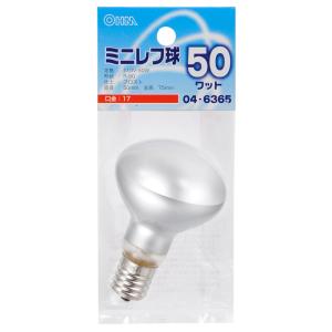 Panasonic（パナソニック） (在庫限り)パナソニック LR110V40W・S