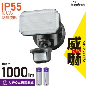 DAISHIN(大進) カメラに見えるセンサーライト DLB-K500 LED白色