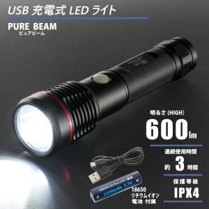 懐中電灯 LED USB充電式 防水ライト スマホに充電 ラディウスZ 480