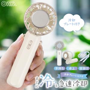 ダイニチ（Dainichi） ダイニチ工業 石油ファンヒーター 気化器