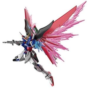 HGCE 機動戦士ガンダムSEED DESTINY デスティニーガンダム 1/144スケール 色分け済みプラモデル｜e-pro