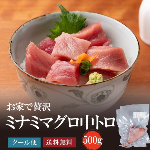 ミナミマグロ中トロ500g(250g×2)　送料無料/刺身/マグロ/まぐろ/南鮪/中トロ/赤身/ギフ...