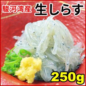 生しらす250g　静岡県駿河湾産/生シラス