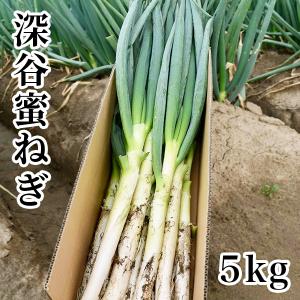 深谷蜜ねぎ5kg　埼玉県名産 新戒ネギ 葱　※生育不良のため、細いものや白い部分が短い等のねぎが多く...