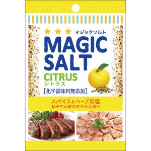 エスビー食品 袋入りマジックソルト シトラス 20g