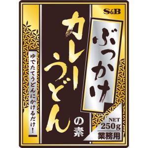 ぶっかけカレーうどんの素 250g 業務用 カレ...の商品画像
