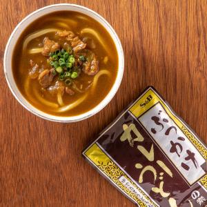 ぶっかけカレーうどんの素 250g 業務用 カ...の詳細画像2
