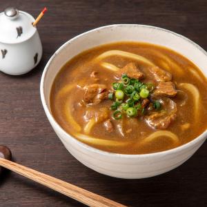 ぶっかけカレーうどんの素 250g 業務用 カ...の詳細画像3