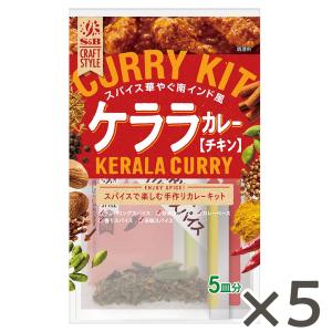 CRAFT STYLE ケララカレー 90.5g ×5個　手作りカレー カレールウ エスニック 簡単 エスビー食品公式