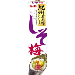 エスビー食品公式 しそ梅 40g チューブ 調味料 紀州南高梅 ごはんのおとも おかず おにぎり おむすび お弁当 しそうめ 和風 エスビー食品 公式