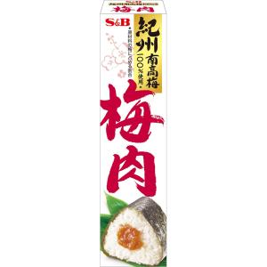 エスビー食品公式 梅肉 40g チューブ 調味料 紀州南高梅 ごはんのおとも おかず おにぎり おむすび お弁当 うめ 和風 エスビー食品 公式