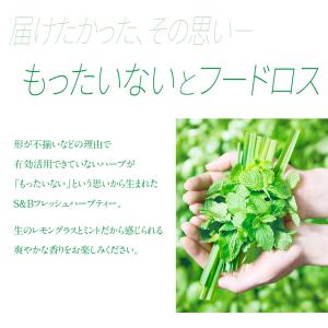 エスビー食品 フレッシュハーブティーレモングラ...の詳細画像4