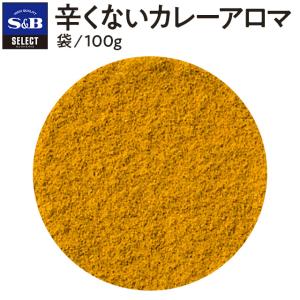 セレクト 辛くないカレーアロマ＜カレーパウダー＞ 袋100g 業務用 カレー風味 パウダー 粉末 お子さま カレー香り付け エスビー食品公式