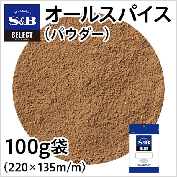 セレクト オールスパイス（パウダー）袋100g 業務用 スパイス カレー お徳用 お買い得 エスビー...