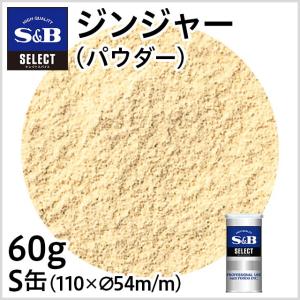 セレクト ジンジャー パウダー S缶 60g 業務用 しょうが 生姜 ショウガ お徳用 エスビー食品公式