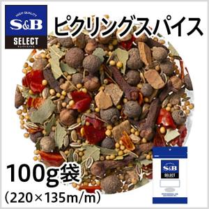 エスビー食品 セレクト ナツメッグ パウダー L缶 400g 業務用 スパイス