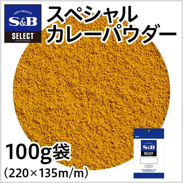 セレクト スペシャルカレーパウダー 袋100g 業務用 カレーパウダー ミックススパイス 最高級 熟...
