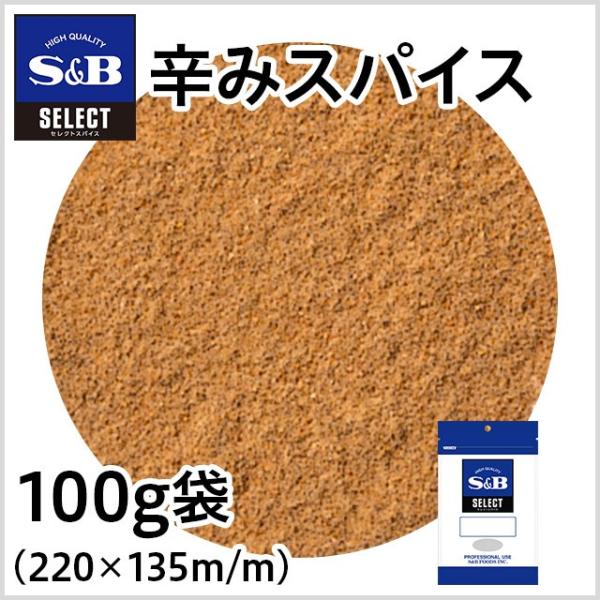 セレクト 辛みスパイス 袋100g 業務用 カレー風味 スパイス ミックススパイス カレーの辛さアッ...