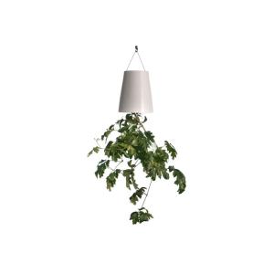 Skyplanter (スカイプランター)  / 逆さま自動給水プランター