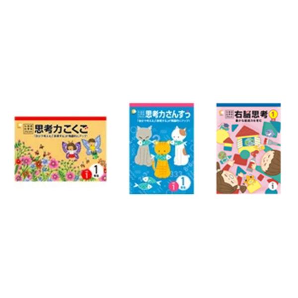 七田式教材（しちだ）小学生プリント1年生　3科目（思考力国語・思考力算数・右脳思考1）セット