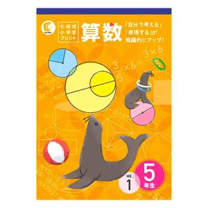 七田式教材（しちだ）　小学生プリント5年生 算数｜e-sekaiya