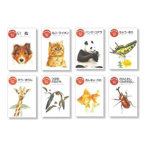 図鑑絵本ビッグチャム（全8巻）