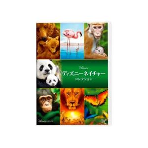 ディズニープリンセス ブルーレイ ＋ DVD セット 8作セット : 脳