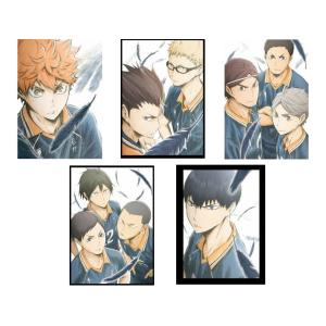 ハイキュー!! 烏野高校 ＶＳ 白鳥沢学園高校 サードシーズン DVD Vol.1-5 セット