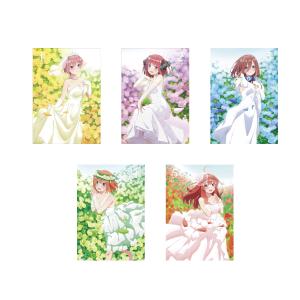 葬送のフリーレン Vol.1-7 DVD 全巻セット : 脳トレ生活 - 通販