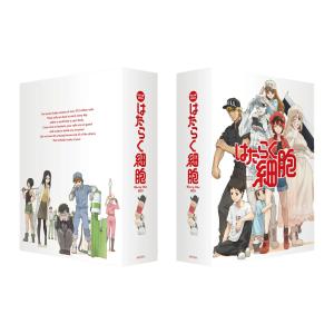 はたらく細胞 全13話+特別編BOXセット ブルーレイ【Blu-ray