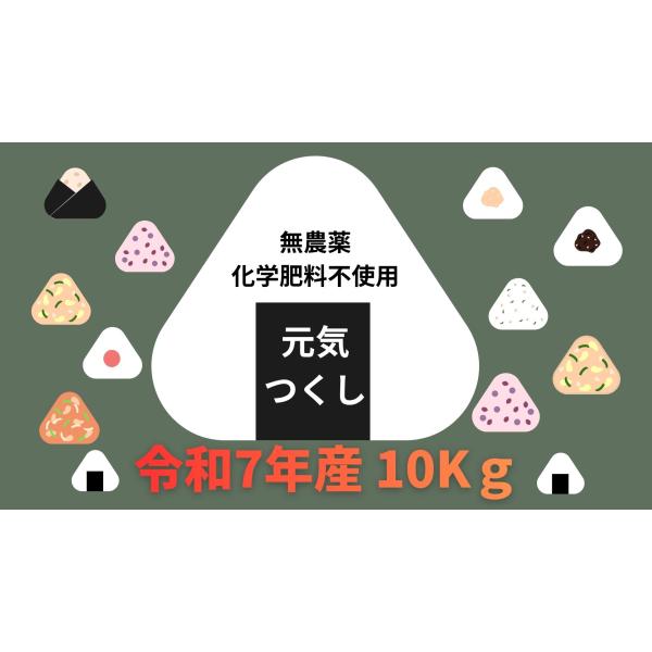 新米 福岡県産 【元気つくし10kg】（白米5kg×2）令和7年産　※金曜日のご注文は月曜日発送とな...