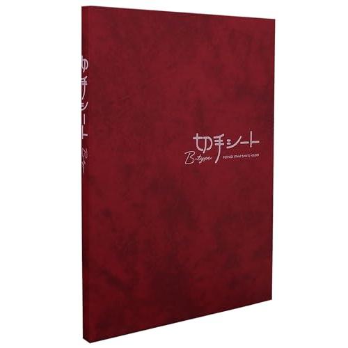 テージー アルバム 切手シート Bタイプ B5 赤 KB-33-04