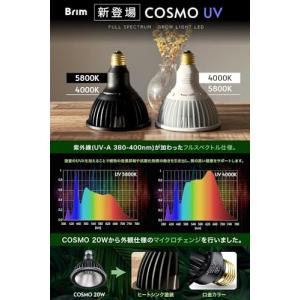 グリーンアドバイザー推薦BRIMブリム COS...の詳細画像1
