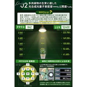 グリーンアドバイザー推薦BRIMブリム COS...の詳細画像3