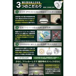 グリーンアドバイザー推薦BRIMブリム COS...の詳細画像5