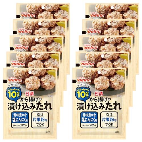 日清 から揚げの漬け込みたれ 塩にんにく味 40g ×10個