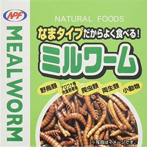 ナチュラルペットフーズ ミルワーム35g
