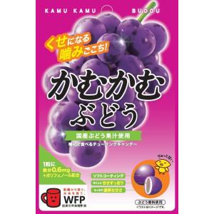 かむかむレモン かむかむ かむかむぶどう 30g ×10袋