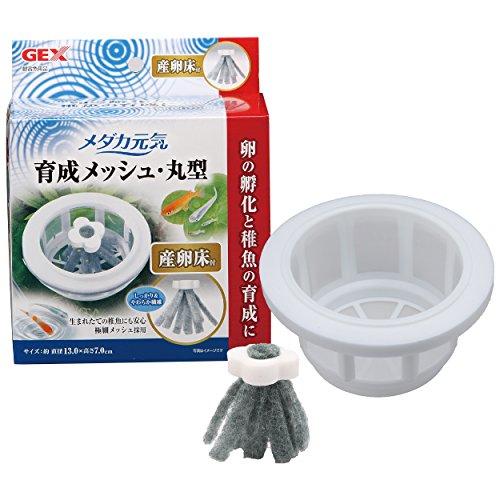 GEX メダカ元気 プラスチック 育成メッシュ 丸型 卵の孵化 稚魚の保護・育成用 食卵防止 産卵床...