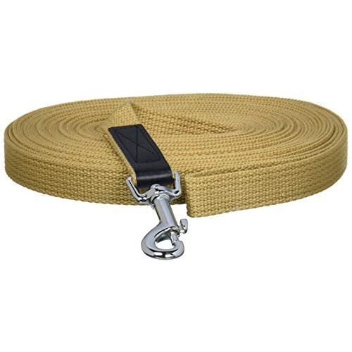 ONS ロングリード 21mm×10m 中型犬