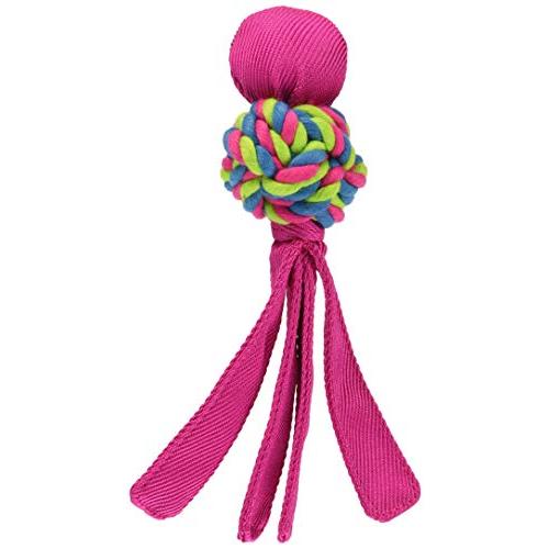 Kongコング デンタルウァバ スモール ピンク