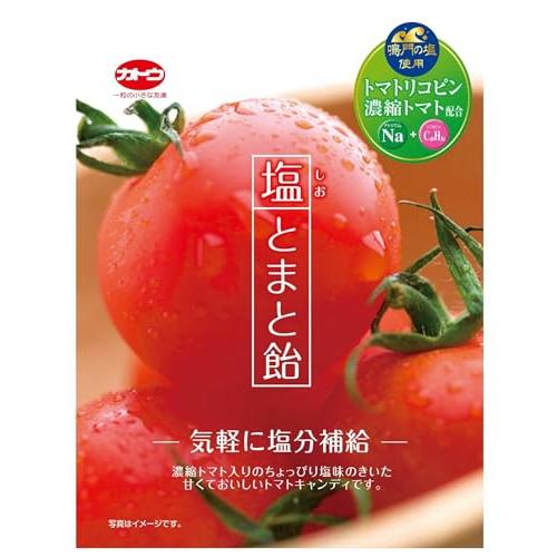 加藤製菓 塩とまと飴 58g×10袋