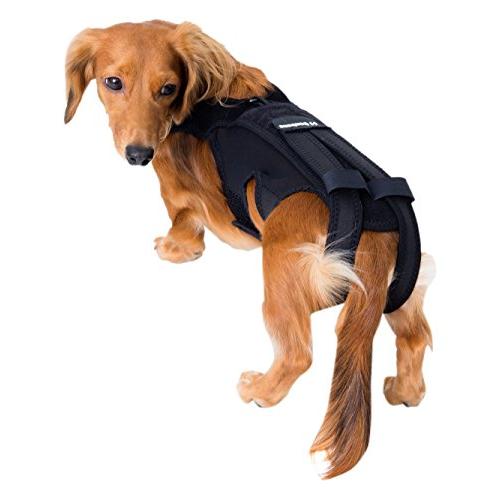 アニフル anifull わんコル その他 ブラック 犬 S サイズ